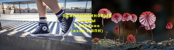 ГАЛЛЮЦИНОГЕННЫЕ ГРИБЫ Алзамай