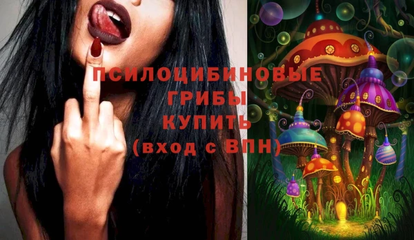 дмт Алексеевка