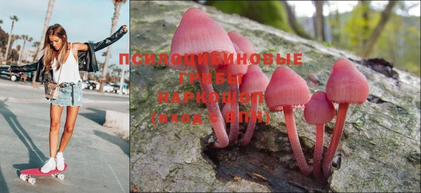 СК Абинск