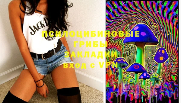 дмт Алексеевка