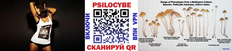 Галлюциногенные грибы прущие грибы  hydra ONION  Кызыл  купить наркотики цена 